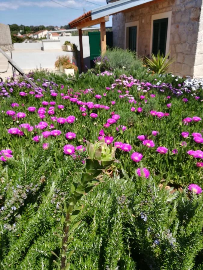 הוילה מאלי דרבניק Kuca Za Odmor Maruska מראה חיצוני תמונה