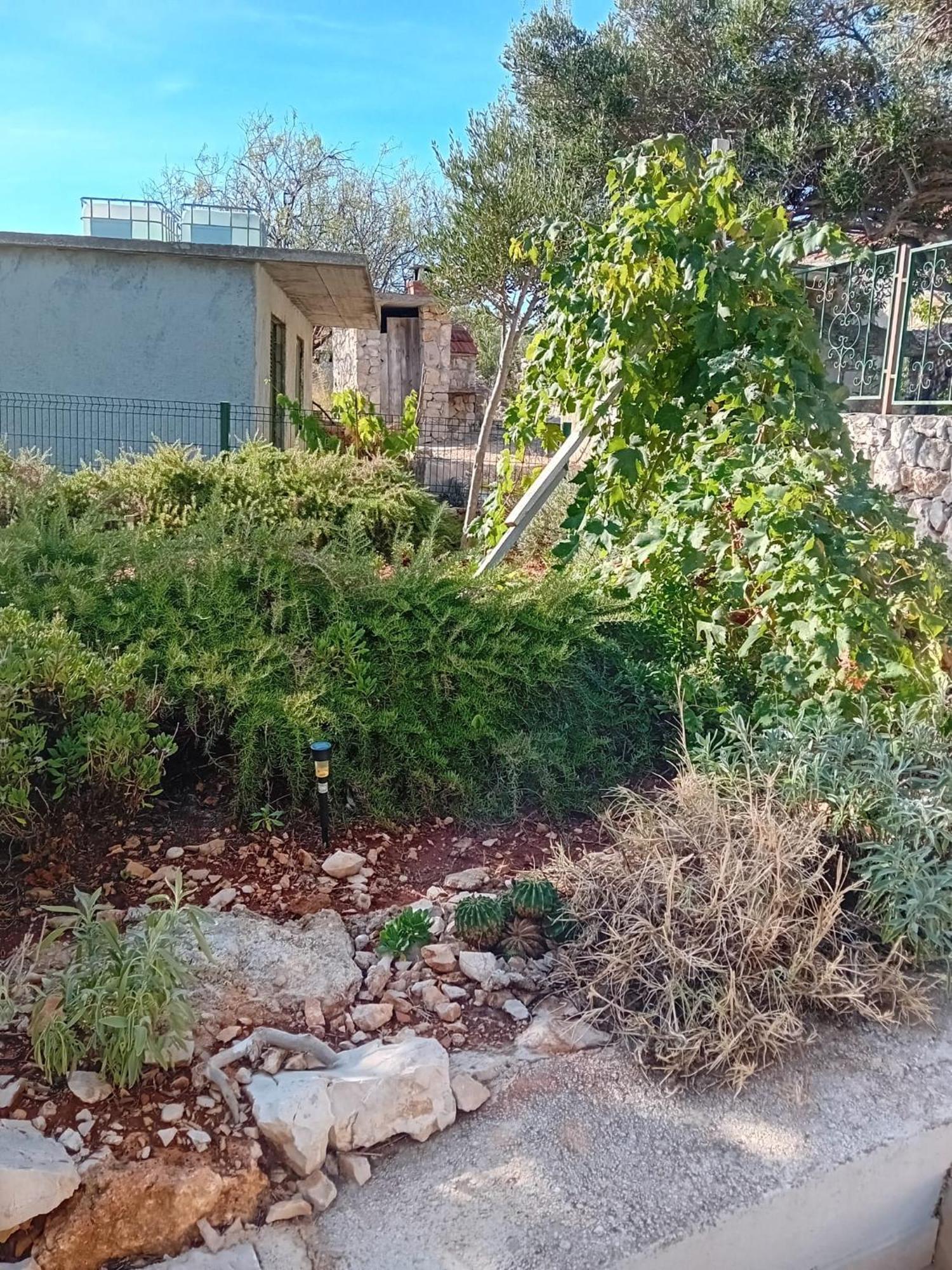 הוילה מאלי דרבניק Kuca Za Odmor Maruska מראה חיצוני תמונה