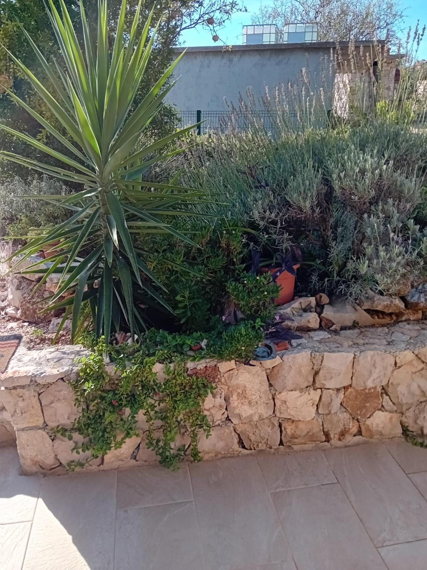 הוילה מאלי דרבניק Kuca Za Odmor Maruska מראה חיצוני תמונה